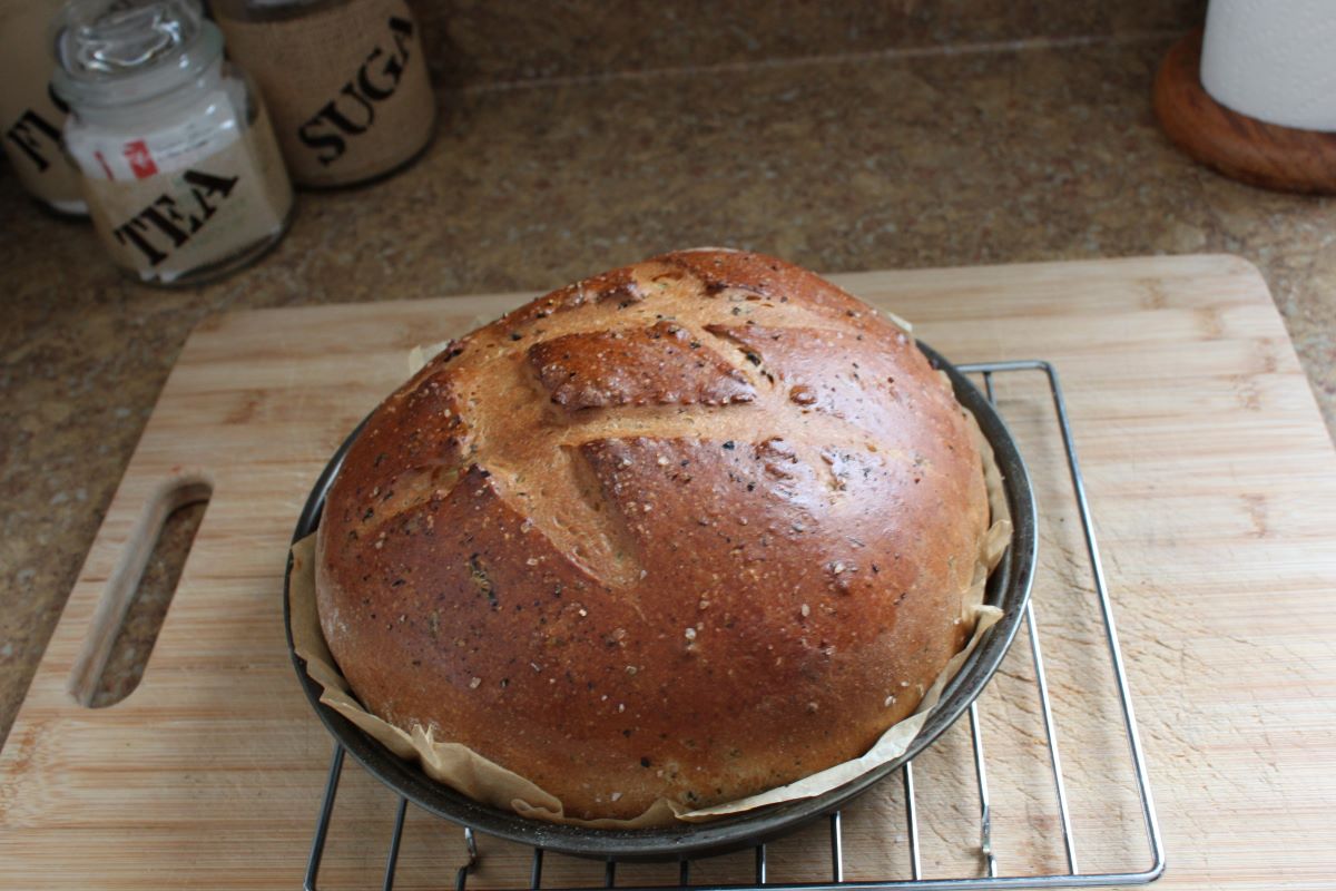 Name:  Olive bread 3.JPG
Views: 3198
Size:  130.0 KB