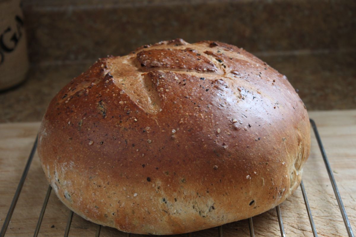 Name:  Olive bread 2.JPG
Views: 3140
Size:  118.8 KB
