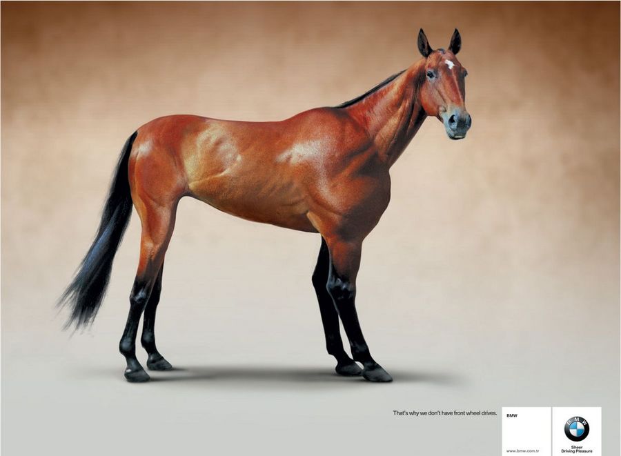 Name:  horse.jpg
Views: 5056
Size:  47.7 KB